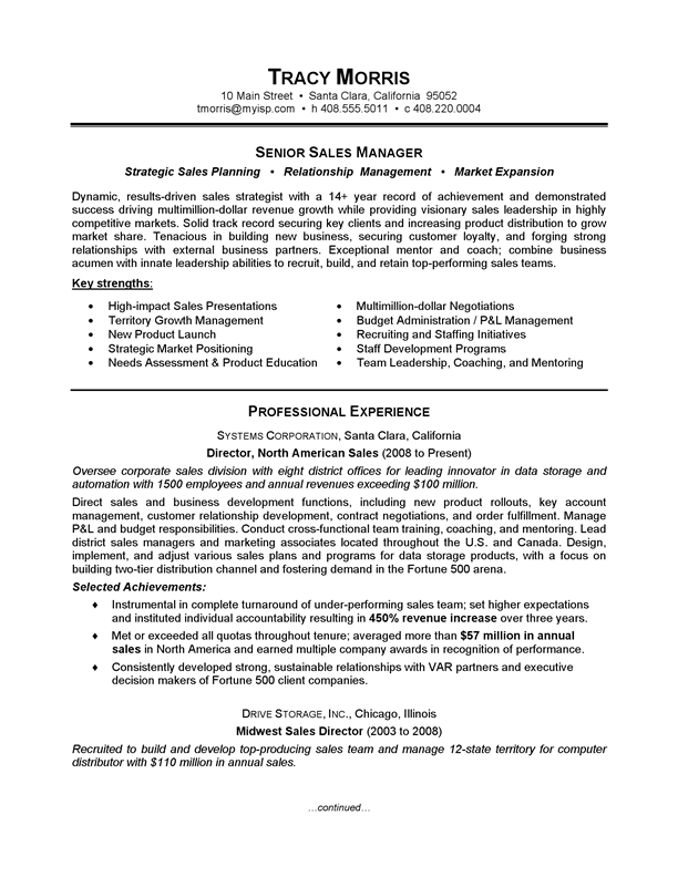 Salesperson Resume Example Salesman Resume Examples